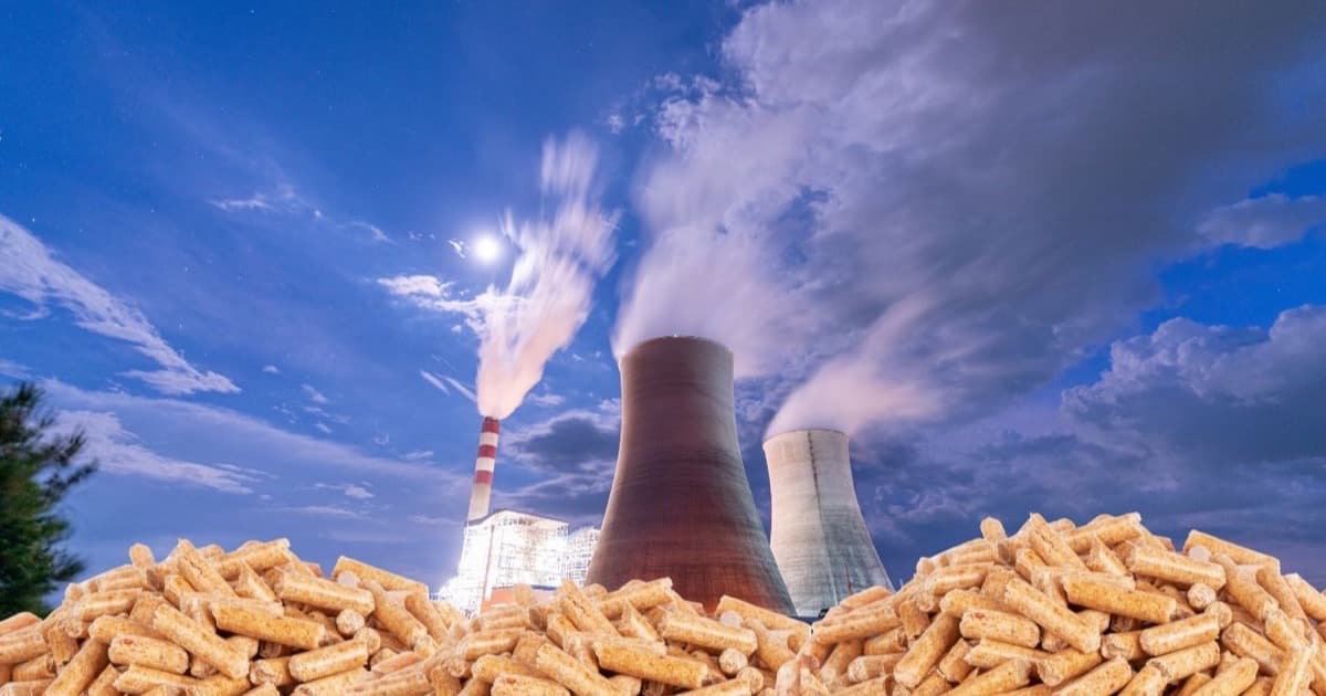 Heaps of pale biomass fuel pellets in the foreground, with the cooling towers and chimney of a coal-fired thermal power station steaming behind them at dusk
