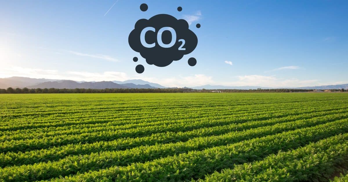 खुले खेत के ऊपर CO₂ का चिह्न