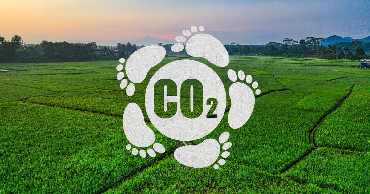ऊपर से दिखते धान के खेत और उन पर CO₂ के पदचिह्न